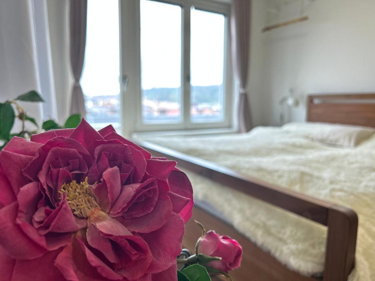 Cool Studio Apartment Прага Екстериор снимка